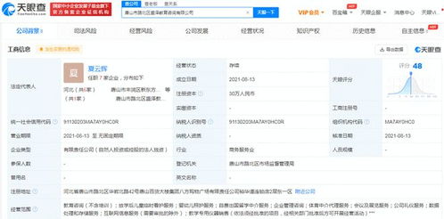 跨界布局與新需求探索 新東方多地成立教育咨詢(xún)公司的戰(zhàn)略解讀